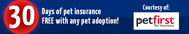30 Days of Pet Insurance Free