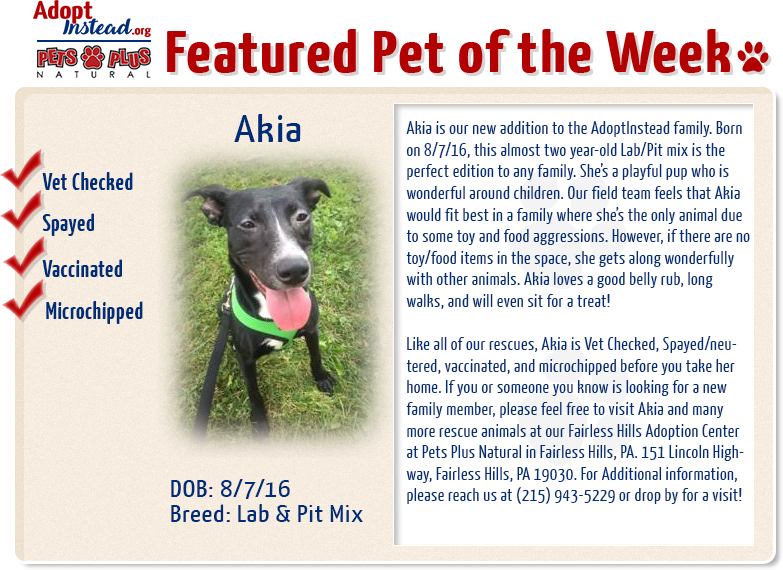 Featured Pet of the Week - Akia