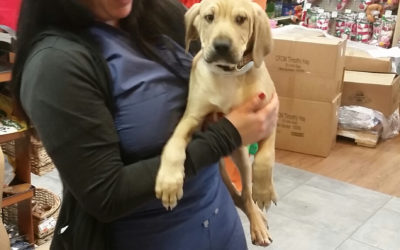 Another Life  Saved – Duke