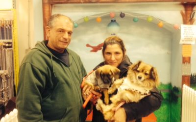 Another Life Saved – Elis