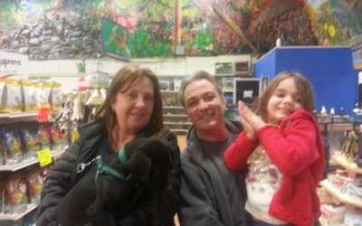 Another Life Saved – Titan
