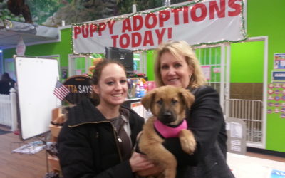 Another Life Saved – Penelope