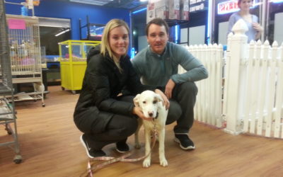 Another Life Saved – Lily