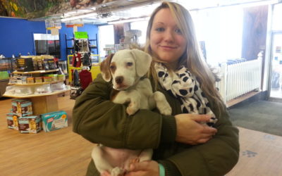 Another Life Saved – Cynder