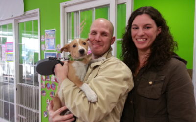 Another Life Saved – Sadie