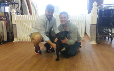 Another Life Saved – Barney