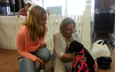 Another Life Saved – Lilac