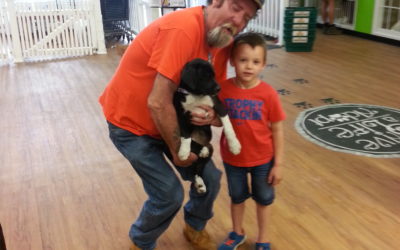 Another Life Saved – Bojangles