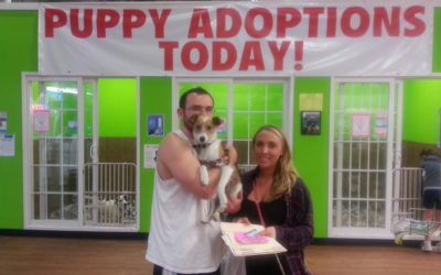 Another Life Saved – Vexie