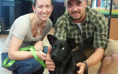 Another Life Saved – Carrie