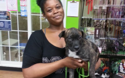 Another Life Saved – Kevin