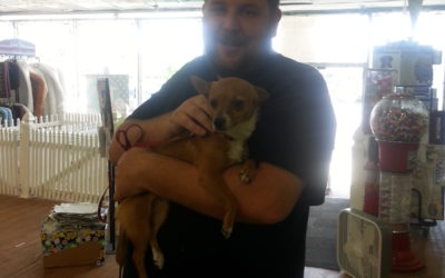 Another Life Saved – Leah