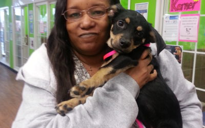 Another Life Saved – Kovu