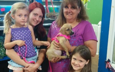 Another Life Saved – Olea