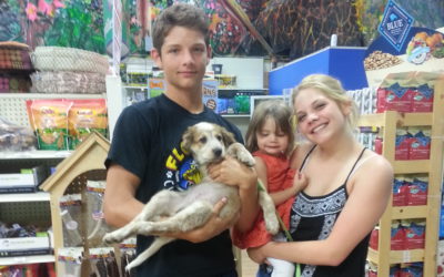 Another Life Saved – Cupcake