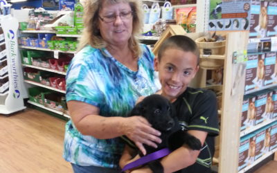 Another Life Saved – Roxy