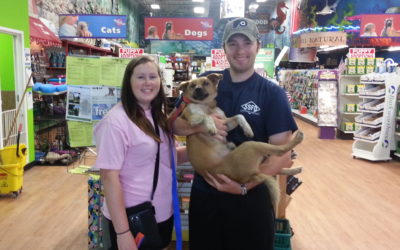 Another Life Saved – Dexter