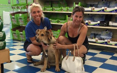 Another Life Saved – Ren