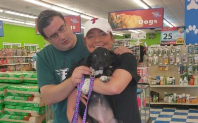 Another Life Saved – Lulu