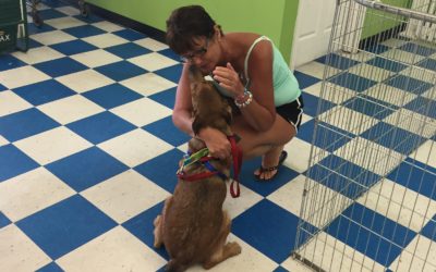 Another Life Saved – Stimpy