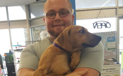 Another Life Saved – Dandy