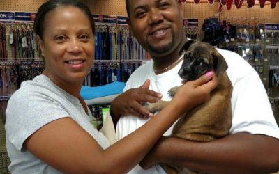 Another Life Saved – Jake