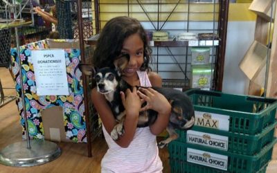 Another Life Saved – Sophia