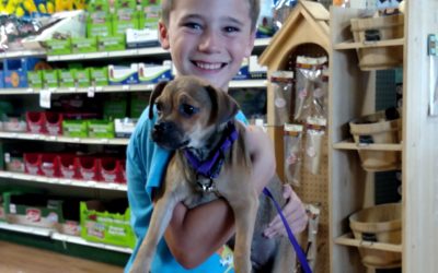 Another Life Saved – Ashley