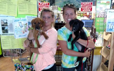 Another Life Saved – Duke & Thomas