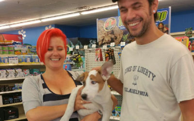 Another Life Saved – Scooby