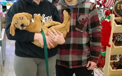 Another Life Saved – Henry