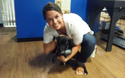 Another Life Saved – Sunny