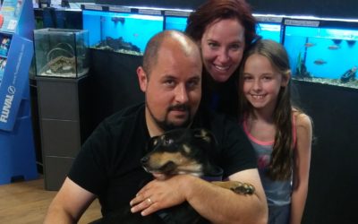 Another Life Saved – Dolly