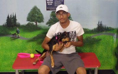 Another Life Saved – Daisy