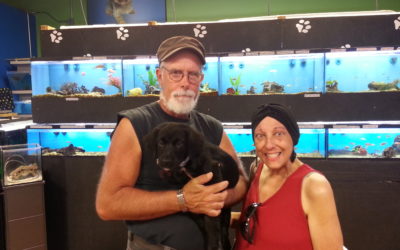 Another Life Saved – Sherry