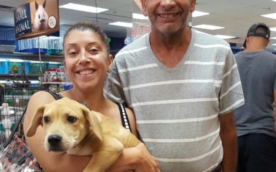 Another Life Saved – Flynn