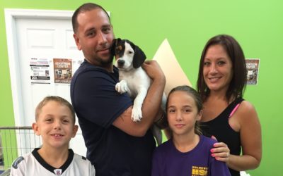 Another Life Saved – Summer