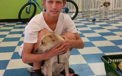 Another Life Saved – Rex