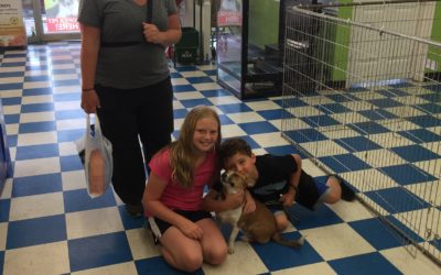 Another Life Saved – Tango