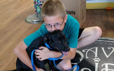 Another Life Saved – Marty