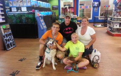 Another Life Saved – Lisa