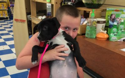 Another Life Saved – Rosie