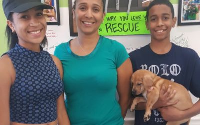 Another Life Saved – Stooge