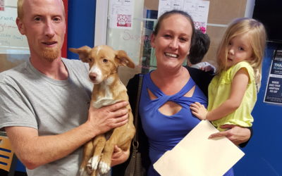 Another Life Saved – Alley