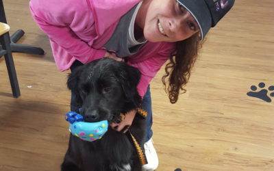 Another Life Saved – Buddy