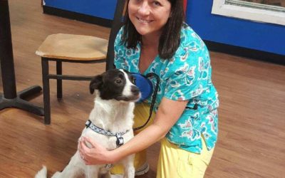 Another Life Saved – Spencer