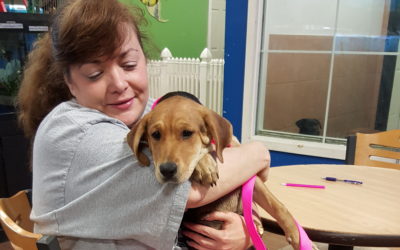 Another Life Saved – Ragtime