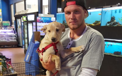 Another Life Saved – Andy