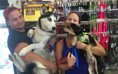 Another Life Saved – Arlo