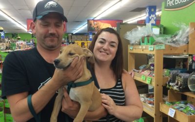 Another Life Saved – Zane